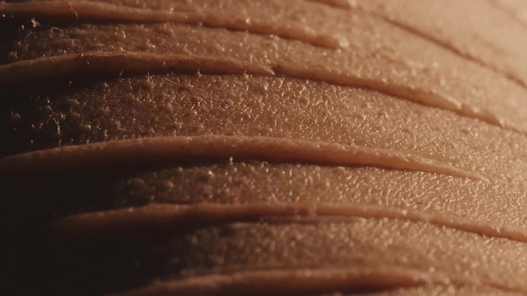 My Body As Her Vessel (Excerpt)
